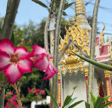 Bangkok Ultimate Travel Guide Spirit House
