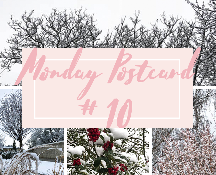Monday Postcard 10 Tropical Heat vs Winter Wonderland
