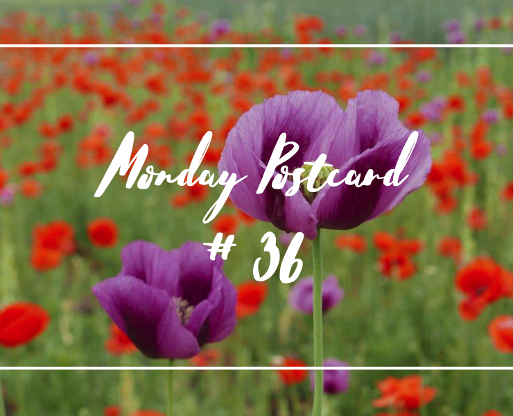 Monday Postcard 36 Work-Life-Balance