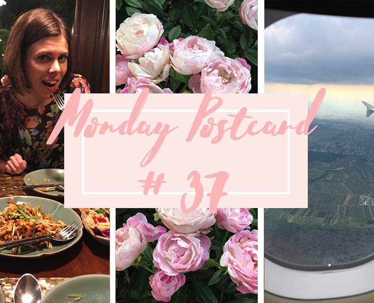 Monday Postcard 37 Kylie Jenner Success