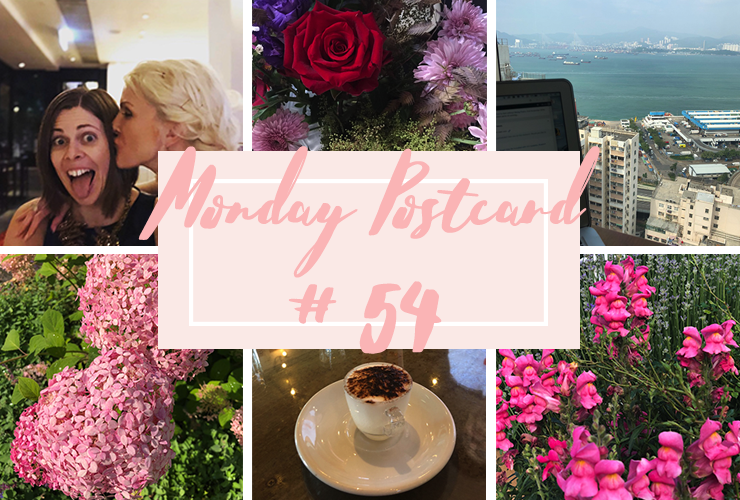 Monday Postcard 54 Feminists Dont Wear Pink