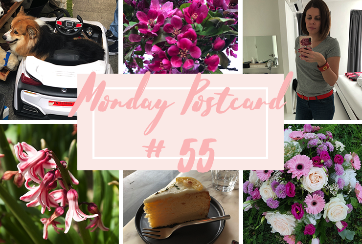 Monday Postcard 55 Confidence and Successful