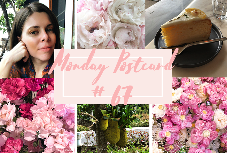 Monday Postcard 67 Moral Courage