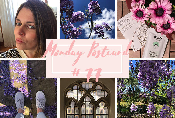 Monday Postcard The Best Day of Our Lives