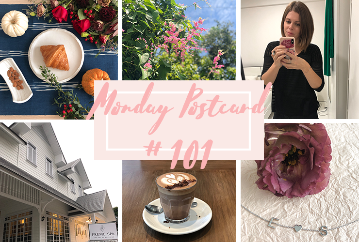 Monday Postcard 101 Hot Feminist