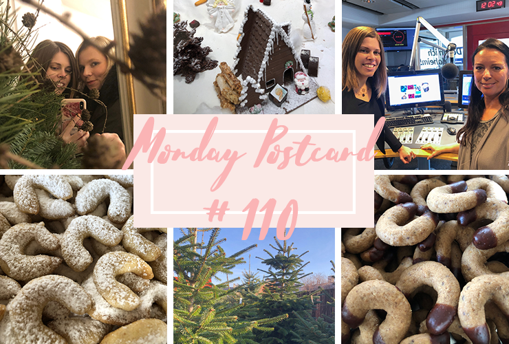 Monday Postcard 110 Baking Biscuits Sugar and Silence Title
