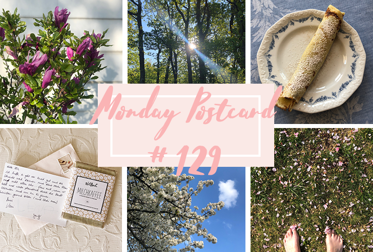 Monday Postcard Tired but Trying to Focus on the Positive