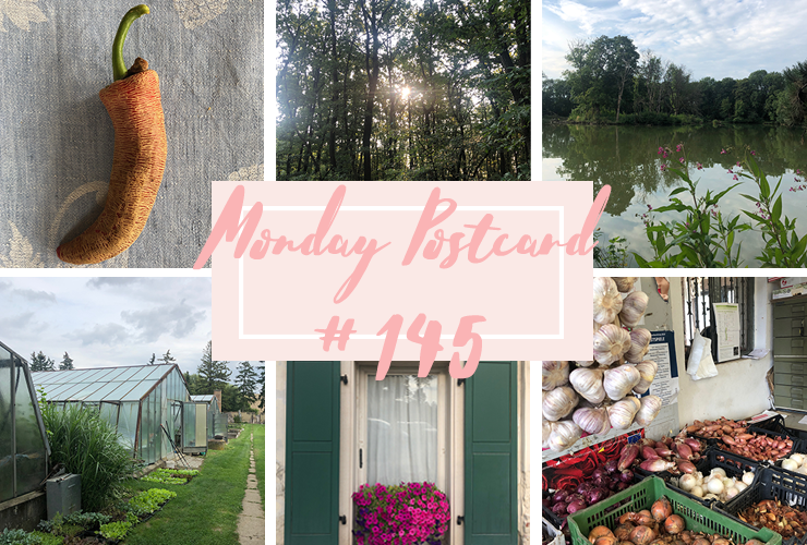 Monday Postcard 145 Living in the Countryside