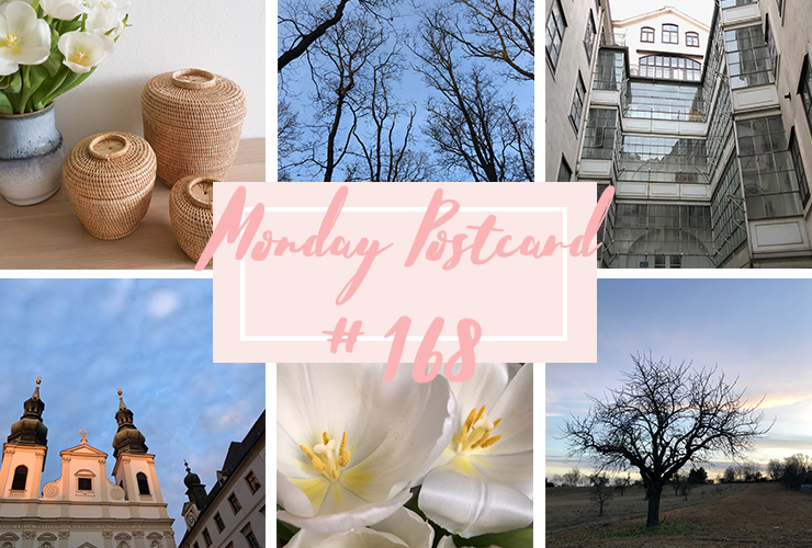 Monday Postcard 168 Lifelong Learning