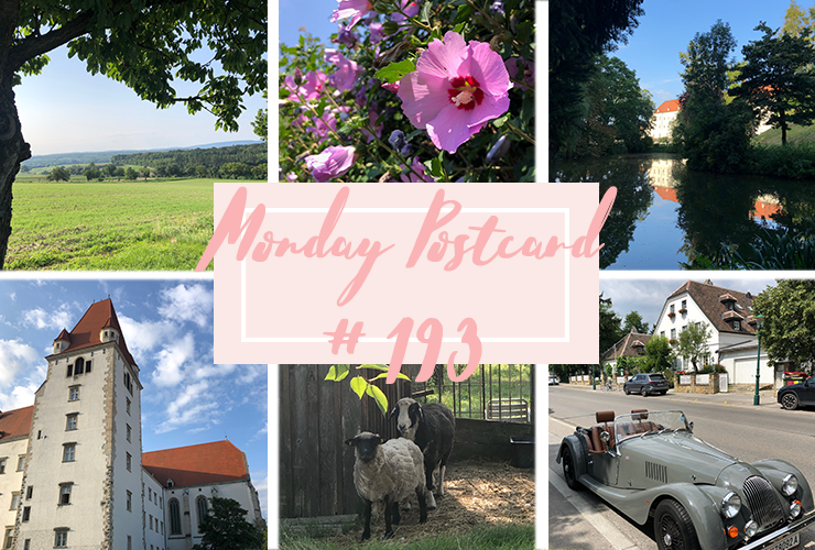 Monday Postcard 193 Do Our Homes Have to Serve Social Media